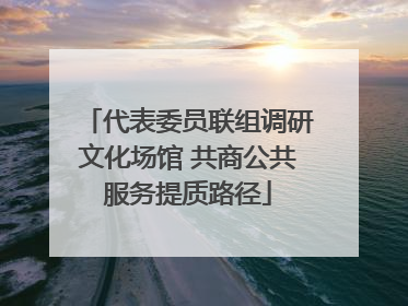 代表委员联组调研文化场馆 共商公共服务提质路径