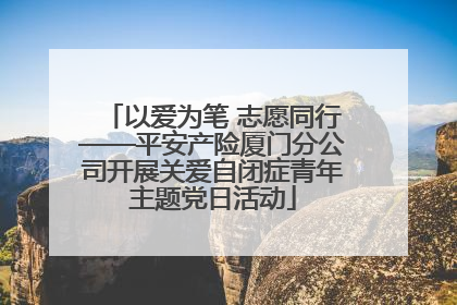 以爱为笔 志愿同行——平安产险厦门分公司开展关爱自闭症青年主题党日活动