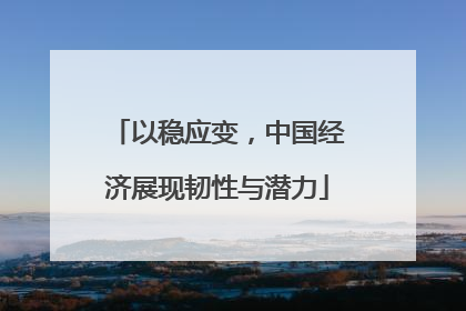 以稳应变，中国经济展现韧性与潜力