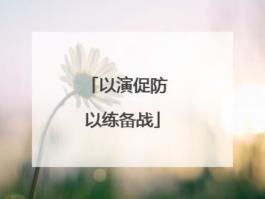 以演促防 以练备战