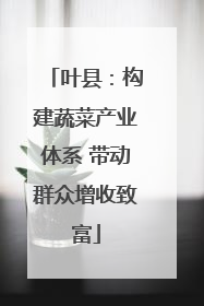 叶县：构建蔬菜产业体系 带动群众增收致富