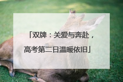 双牌：关爱与奔赴，高考第二日温暖依旧