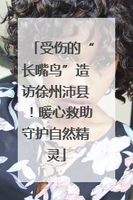 受伤的“长嘴鸟”造访徐州沛县！暖心救助守护自然精灵