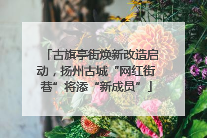 古旗亭街焕新改造启动，扬州古城“网红街巷”将添“新成员”