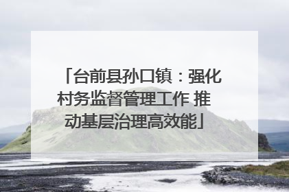 台前县孙口镇：强化村务监督管理工作 推动基层治理高效能