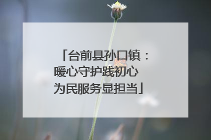 台前县孙口镇：暖心守护践初心 为民服务显担当