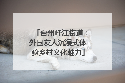 台州峰江街道：外国友人沉浸式体验乡村文化魅力