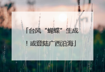 台风“蝴蝶”生成！或登陆广西沿海