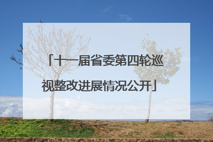 十一届省委第四轮巡视整改进展情况公开