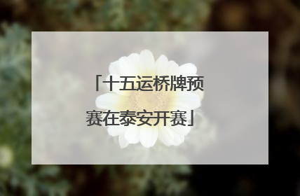 十五运桥牌预赛在泰安开赛