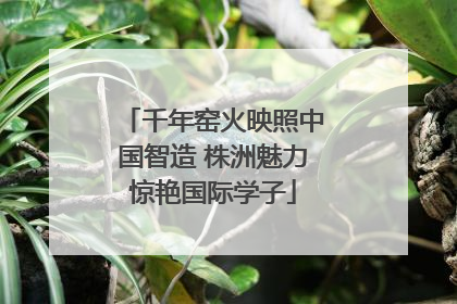 千年窑火映照中国智造 株洲魅力惊艳国际学子