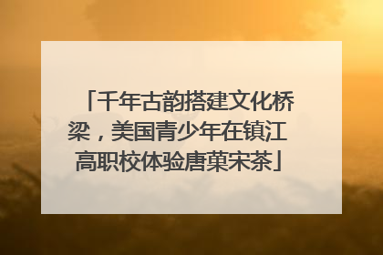 千年古韵搭建文化桥梁，美国青少年在镇江高职校体验唐菓宋茶