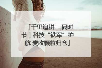 千里追耕·三夏时节丨科技“铁军”护航 麦收颗粒归仓