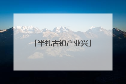 半扎古镇产业兴