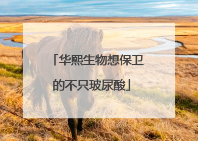 华熙生物想保卫的不只玻尿酸
