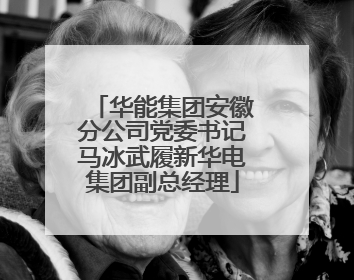 华能集团安徽分公司党委书记马冰武履新华电集团副总经理