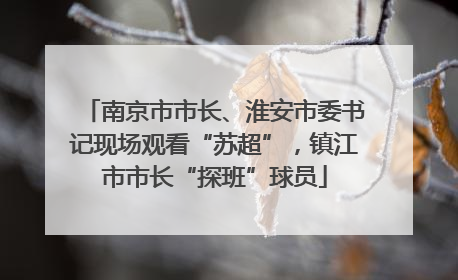 南京市市长、淮安市委书记现场观看“苏超”，镇江市市长“探班”球员