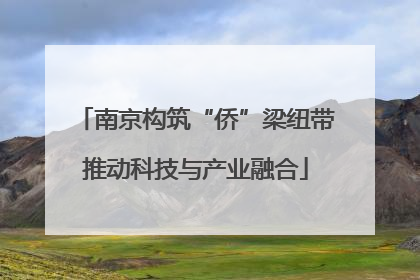 南京构筑“侨”梁纽带推动科技与产业融合