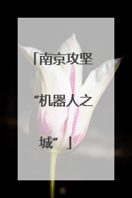 南京攻坚“机器人之城”