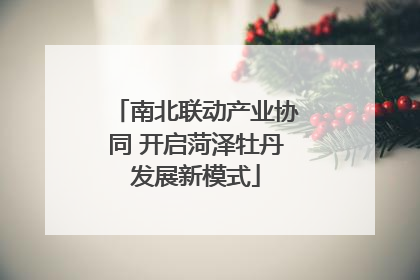 南北联动产业协同 开启菏泽牡丹发展新模式