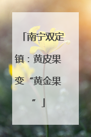 南宁双定镇：黄皮果变“黄金果”