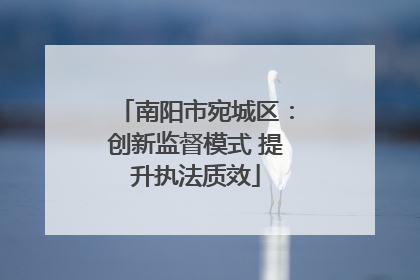 南阳市宛城区：创新监督模式 提升执法质效