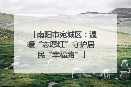 南阳市宛城区：温暖“志愿红”守护居民“幸福路”