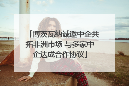 博茨瓦纳诚邀中企共拓非洲市场 与多家中企达成合作协议