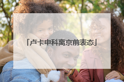 卢卡申科离京前表态