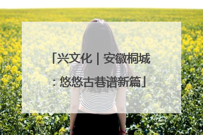 兴文化｜安徽桐城：悠悠古巷谱新篇