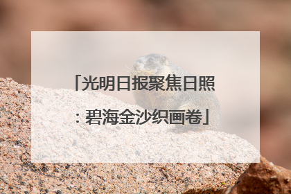 光明日报聚焦日照：碧海金沙织画卷