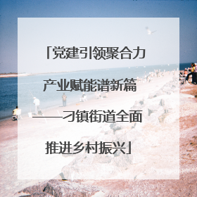 党建引领聚合力 产业赋能谱新篇——刁镇街道全面推进乡村振兴