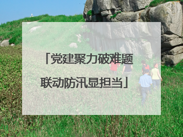 党建聚力破难题 联动防汛显担当