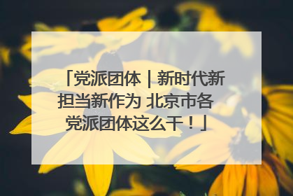 党派团体｜新时代新担当新作为 北京市各党派团体这么干！