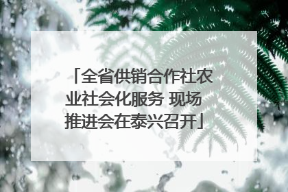 全省供销合作社农业社会化服务 现场推进会在泰兴召开