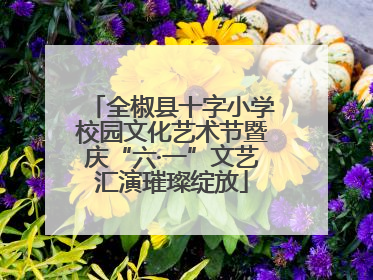 全椒县十字小学校园文化艺术节暨庆“六·一”文艺汇演璀璨绽放