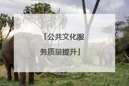 公共文化服务质量提升