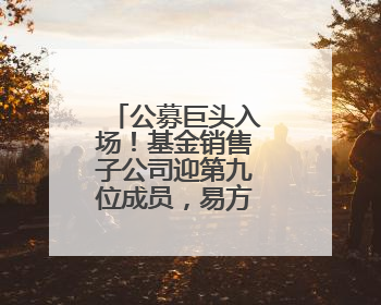 公募巨头入场！基金销售子公司迎第九位成员，易方达财富获批