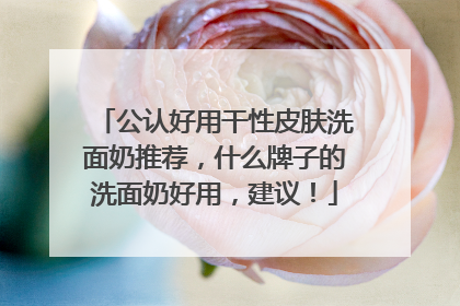 公认好用干性皮肤洗面奶推荐，什么牌子的洗面奶好用，建议！