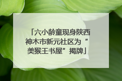 六小龄童现身陕西神木市新元社区为“美猴王书屋”揭牌