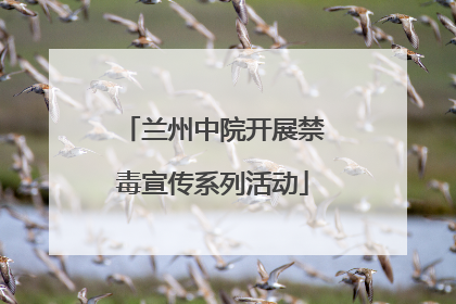 兰州中院开展禁毒宣传系列活动