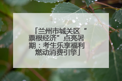兰州市城关区“票根经济”点亮暑期：考生乐享福利 燃动消费引擎