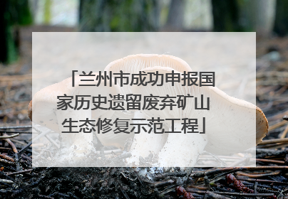 兰州市成功申报国家历史遗留废弃矿山生态修复示范工程