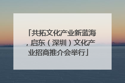 共拓文化产业新蓝海，启东（深圳）文化产业招商推介会举行