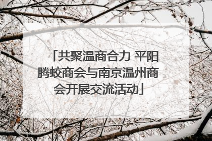 共聚温商合力 平阳腾蛟商会与南京温州商会开展交流活动