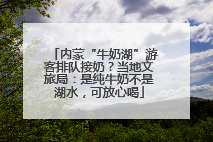 内蒙“牛奶湖”游客排队接奶？当地文旅局：是纯牛奶不是湖水，可放心喝