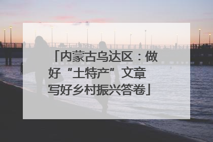 内蒙古乌达区：做好“土特产”文章 写好乡村振兴答卷