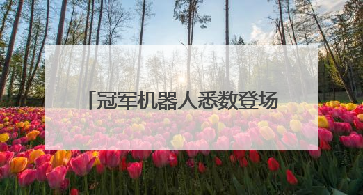 冠军机器人悉数登场！宇树王兴兴：让人形机器人马上进入家庭等场景并不现实