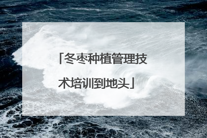 冬枣种植管理技术培训到地头