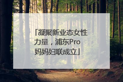 凝聚新业态女性力量，浦东Pro妈妈妇联成立